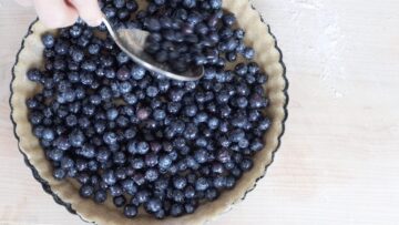 add the fresh blueberries