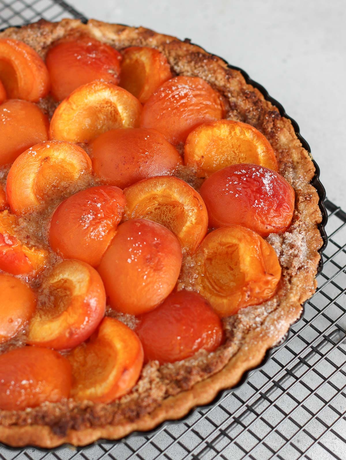 apricot tart just baked