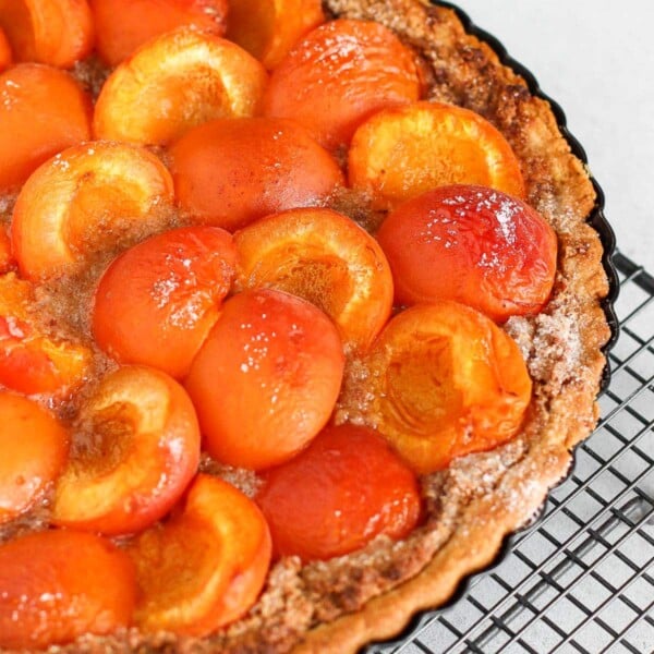 vegan apricot tart with frangipane