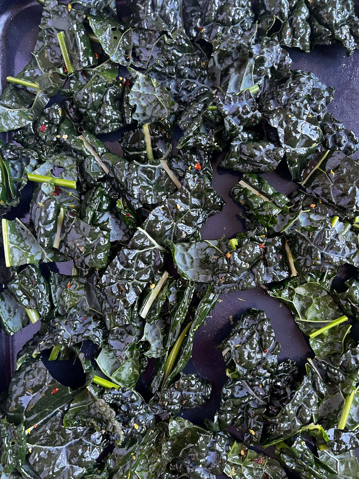 kale chips in oven in small pieces