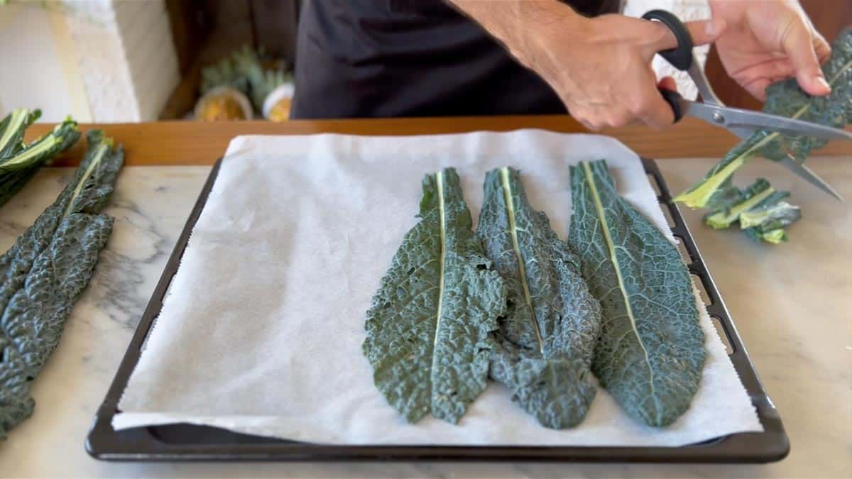 arranging the kale on a baking tray