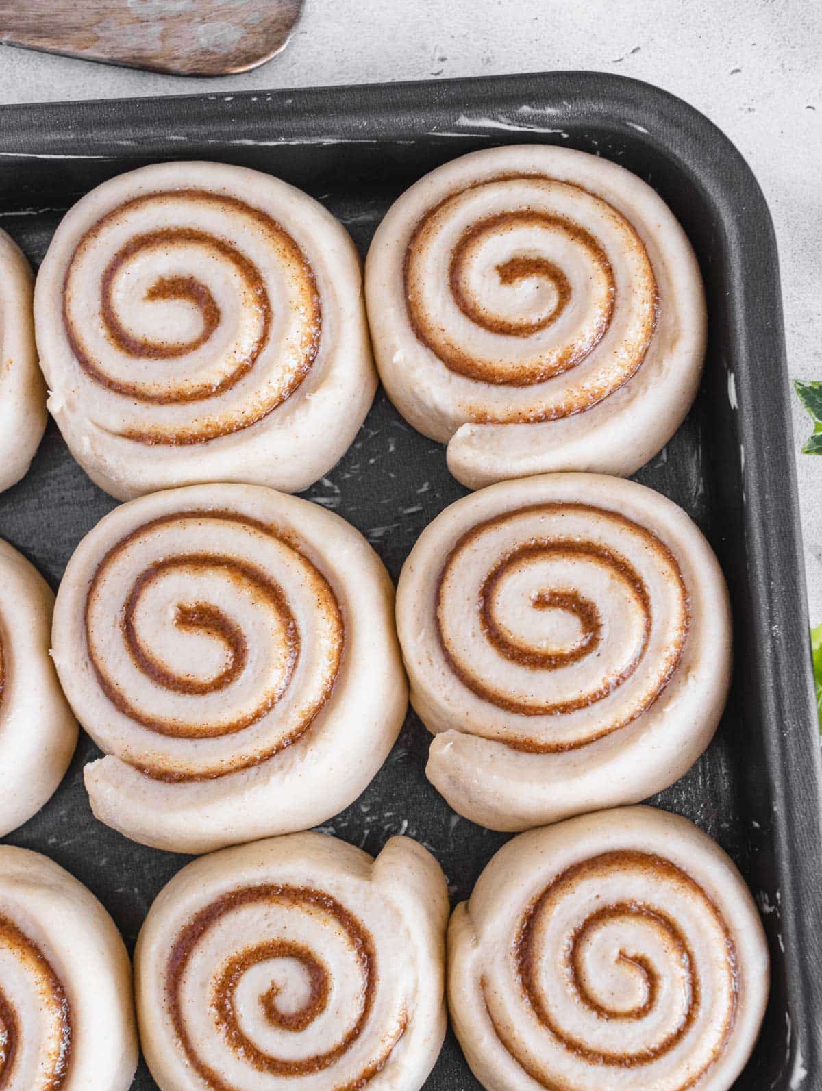 9 rolls in a squared baking tray before baking