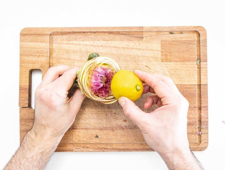 lemon and artichoke and hands