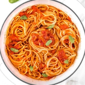 spaghetti pomodoro or tomato basil pasta