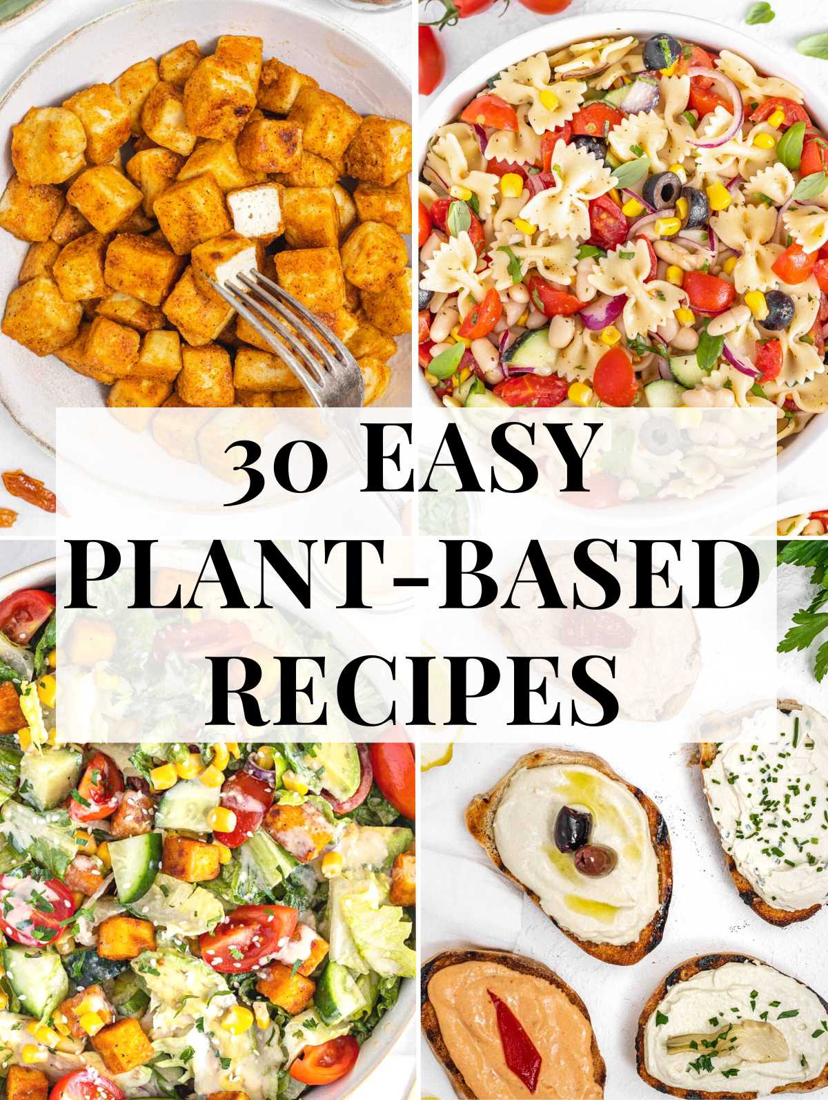 Plant-based beginner recipes