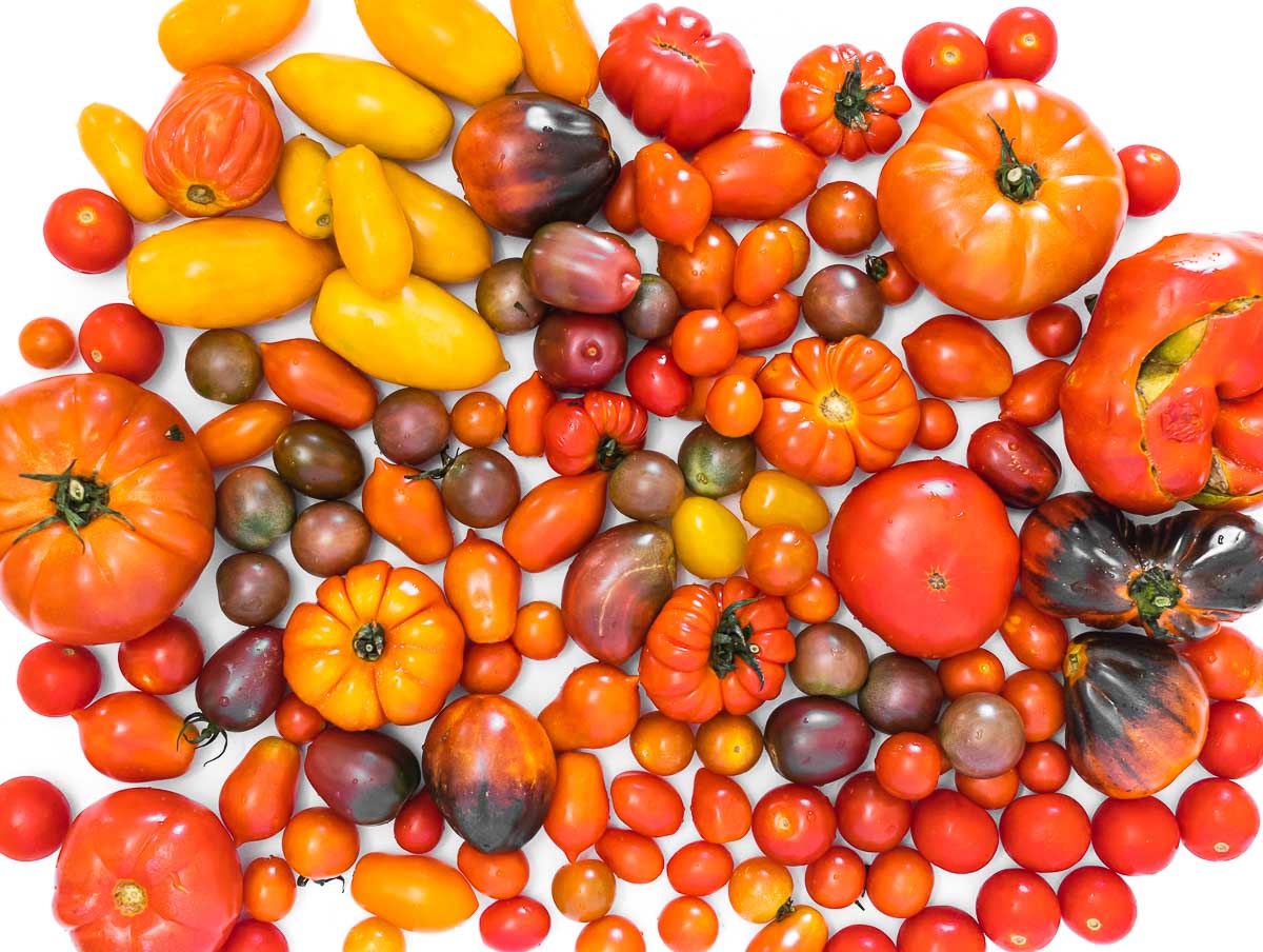 mixed tomato varieties