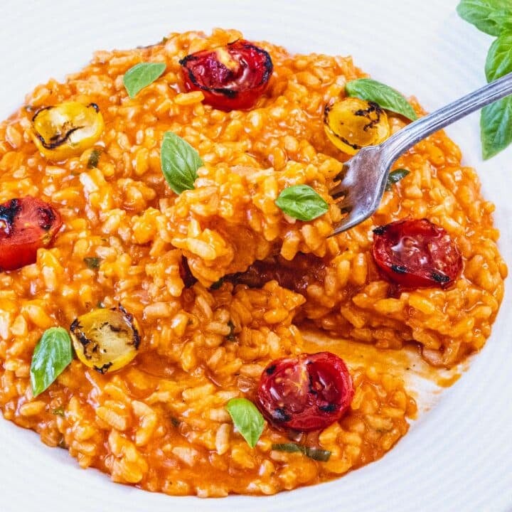 tomato risotto with silver fork and blistered tomatoes