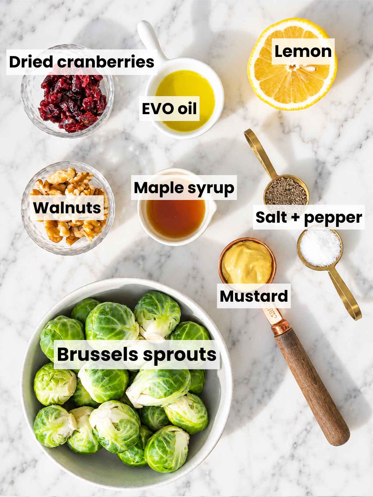 Brussels sprouts, cranberries, walnuts, lemon, mustard, honey, oil, and seasonings.