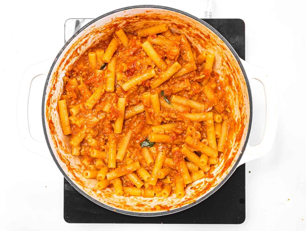 ziti pasta in tomato sauce