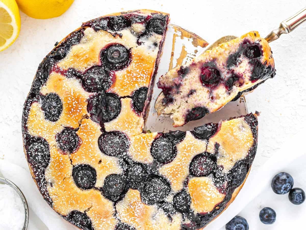 blueberry cake with fresh blueberries