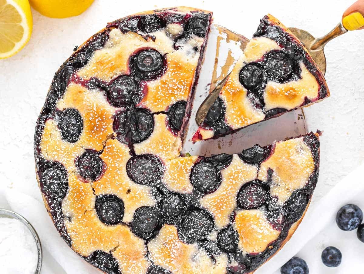 blueberry cake slice