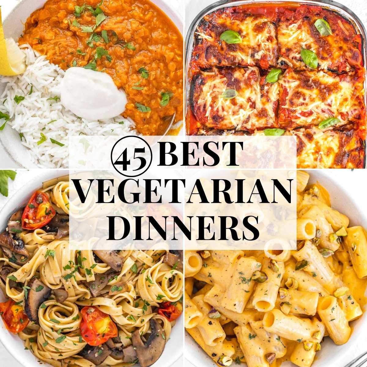 Mains Plant Based School   Vegetarian Dinner Ideas  