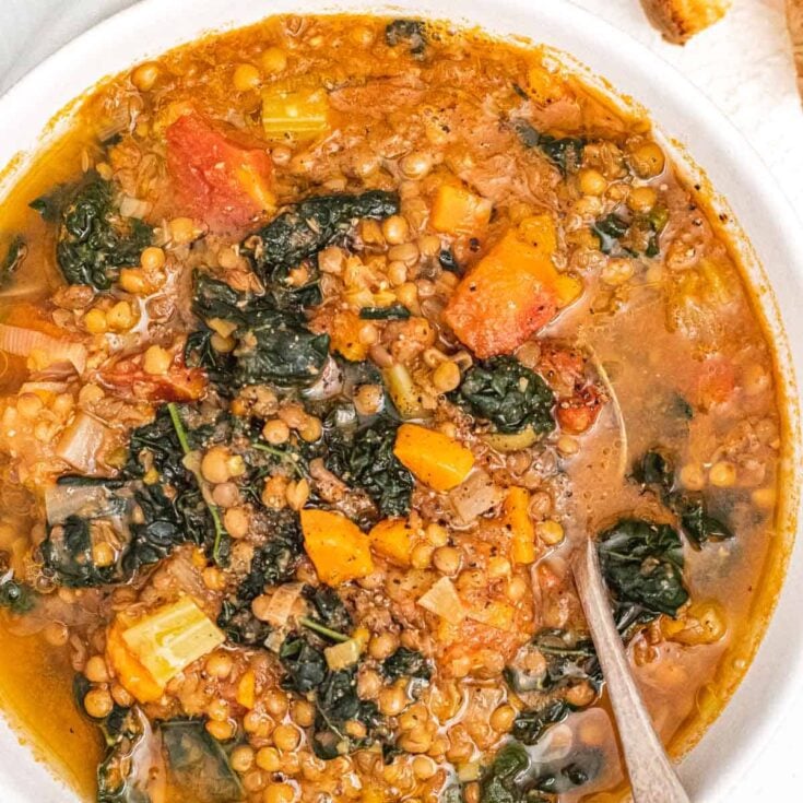 Lentil soup with veggies and a spoon