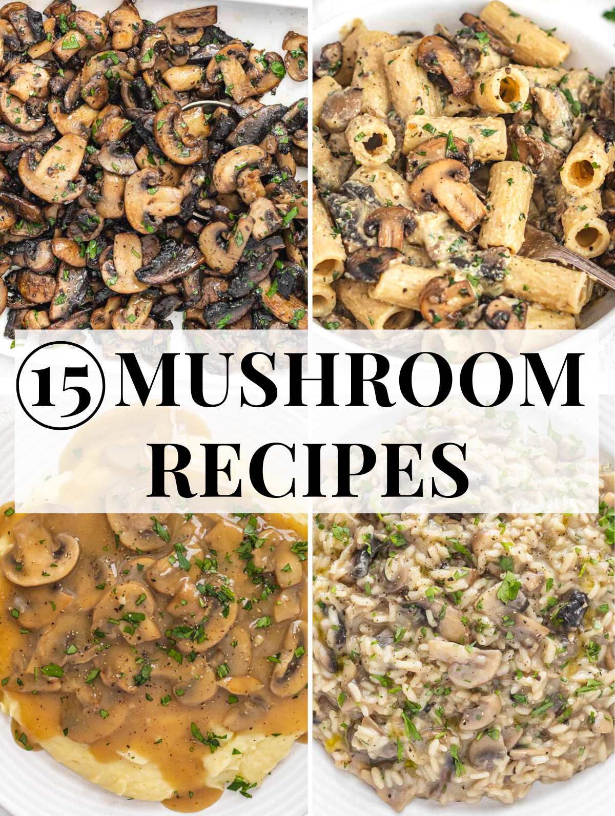 Easy Mushroom recipes