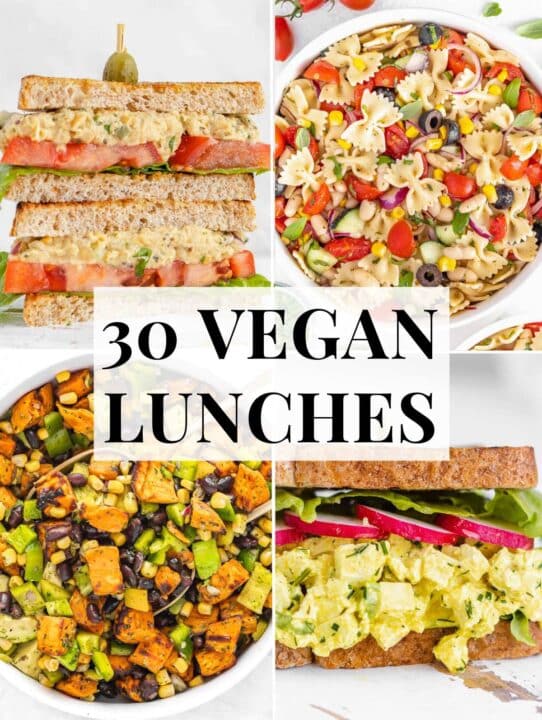 30 Vegan Lunch Ideas The Plant Based School