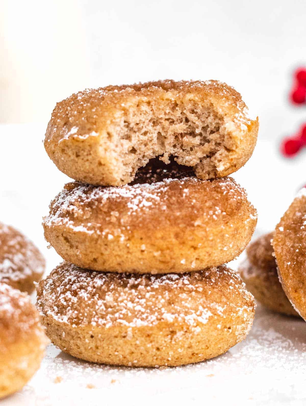 cake donuts with cinnamon