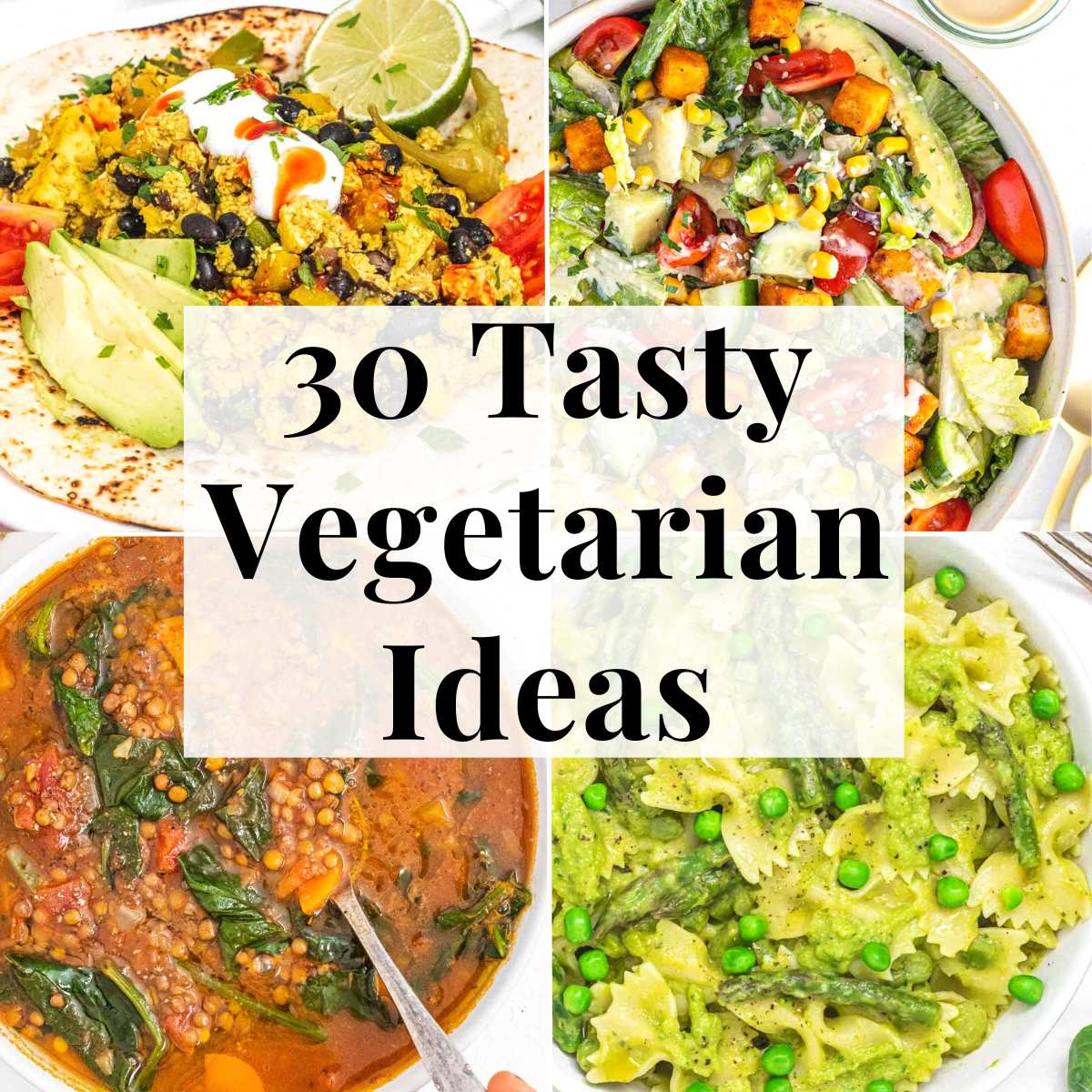 Tasty vegetarian meal ideas