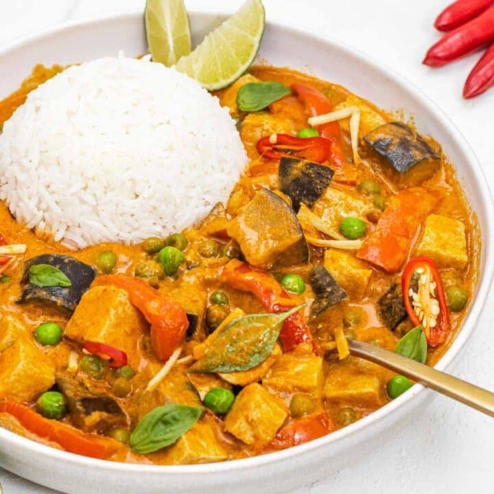Thai Red Curry with rice and spoon