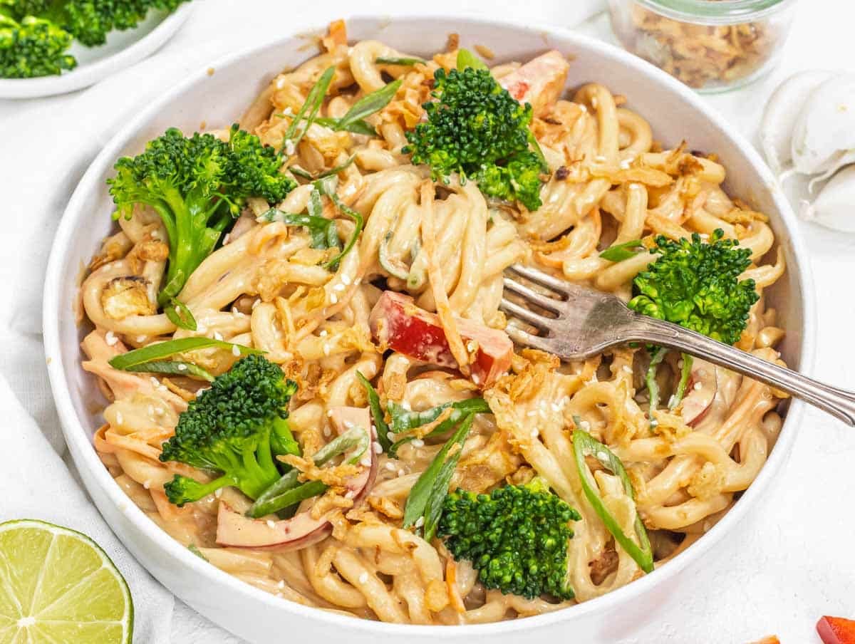 Peanut noodles with fork and broccoli