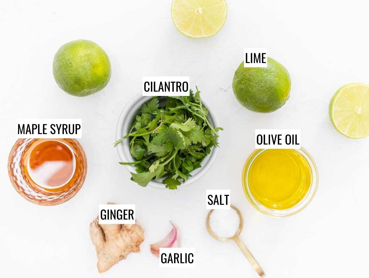 Cilantro lime ingredients
