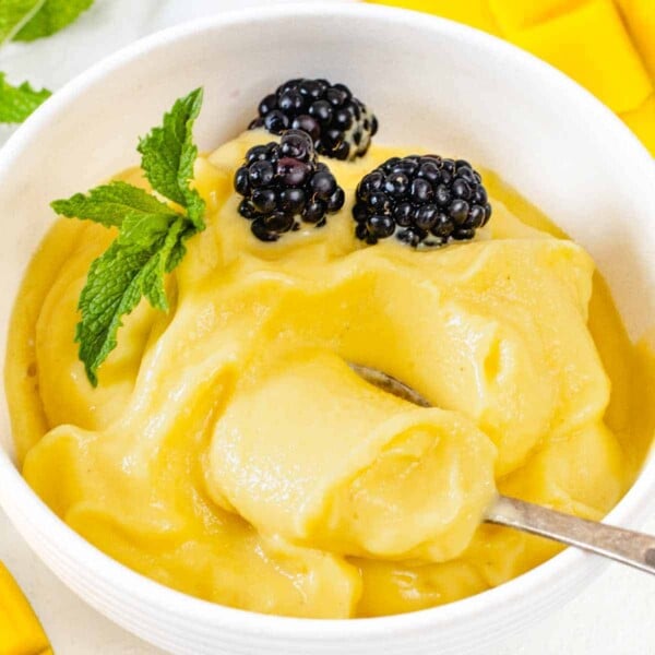 Mango sorbet with spoon and berries