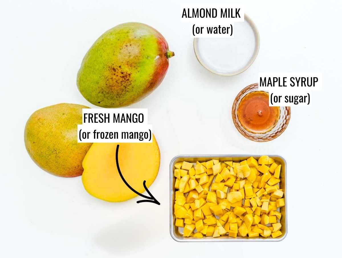 ingredients for mango sorbet
