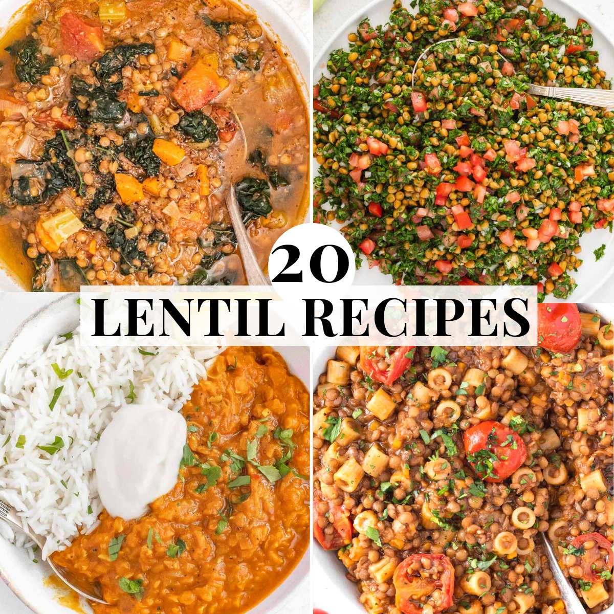 Healthy Lentil recipes