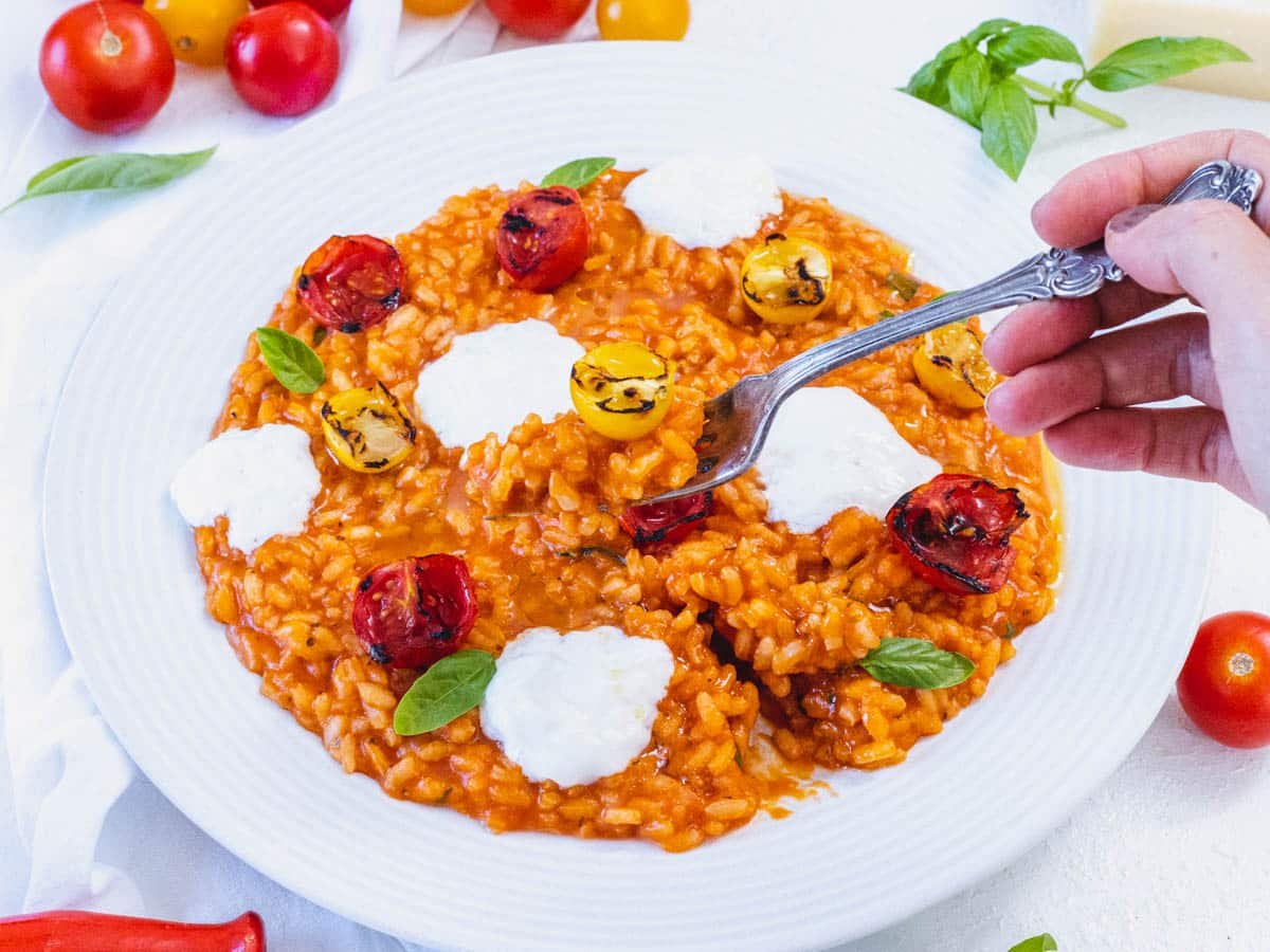 Tomato risotto recipe with burrata and a fork