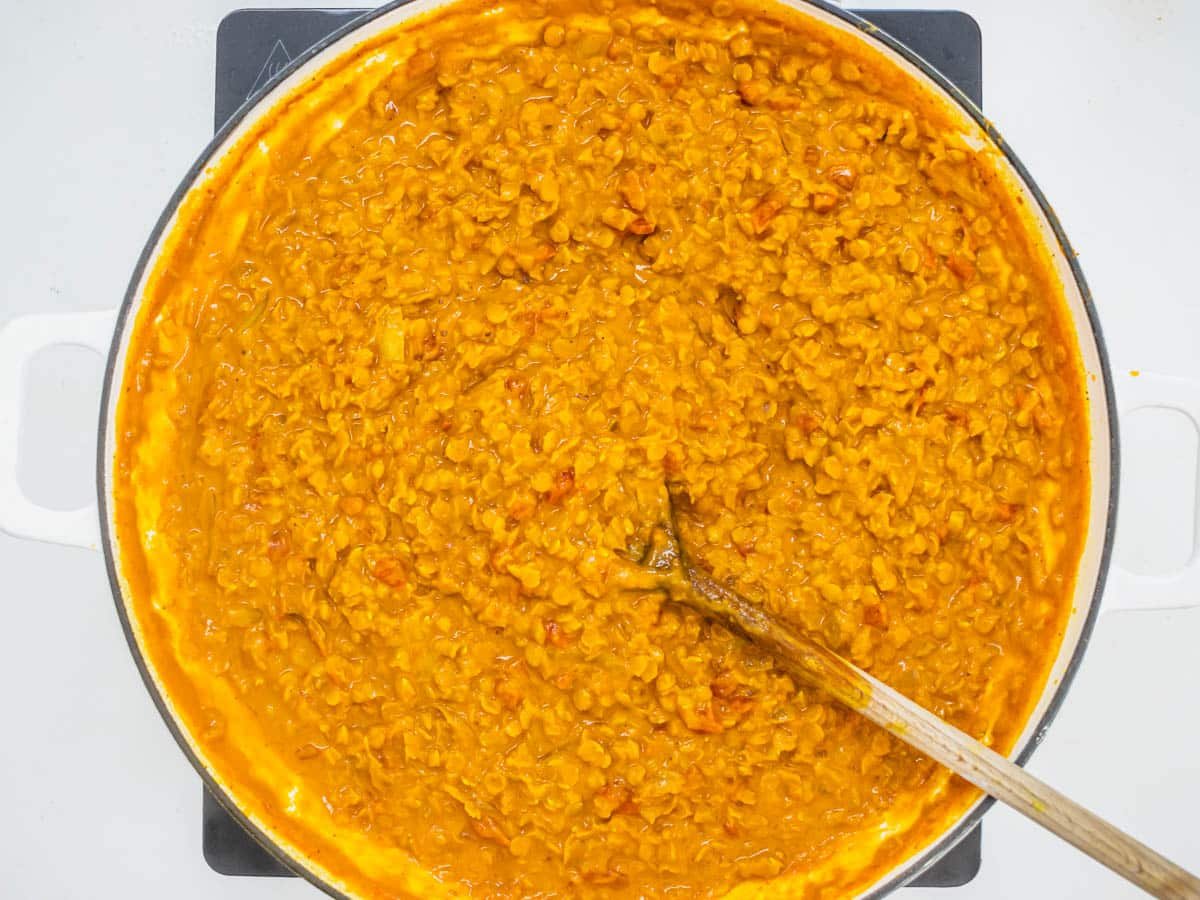 Lentil curry read to serve