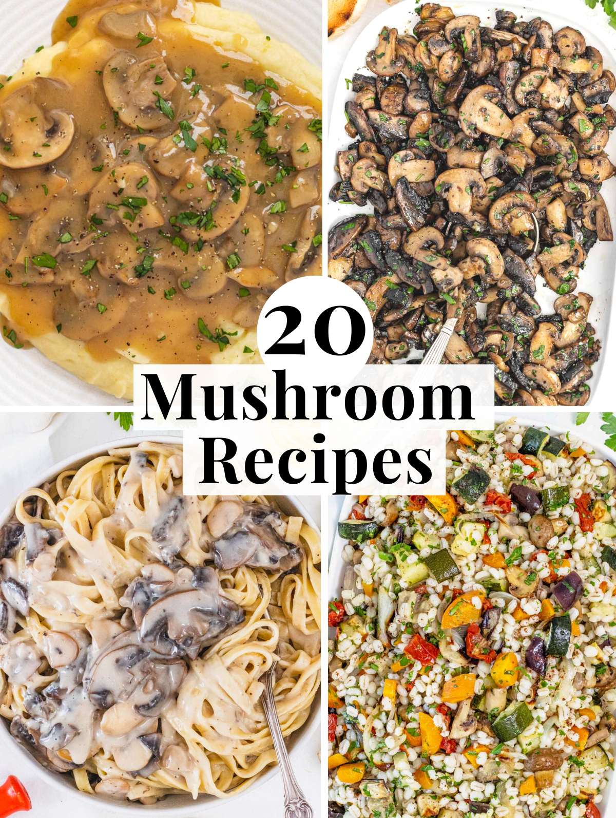 Mushroom recipes