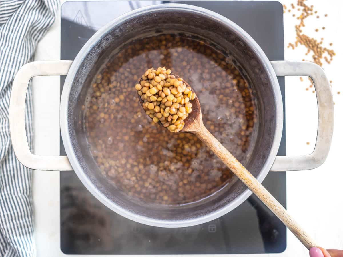 cooking the brown lentils in water