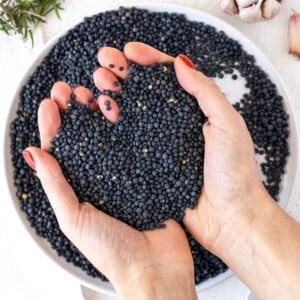 Woman's hands holding dry black lentils