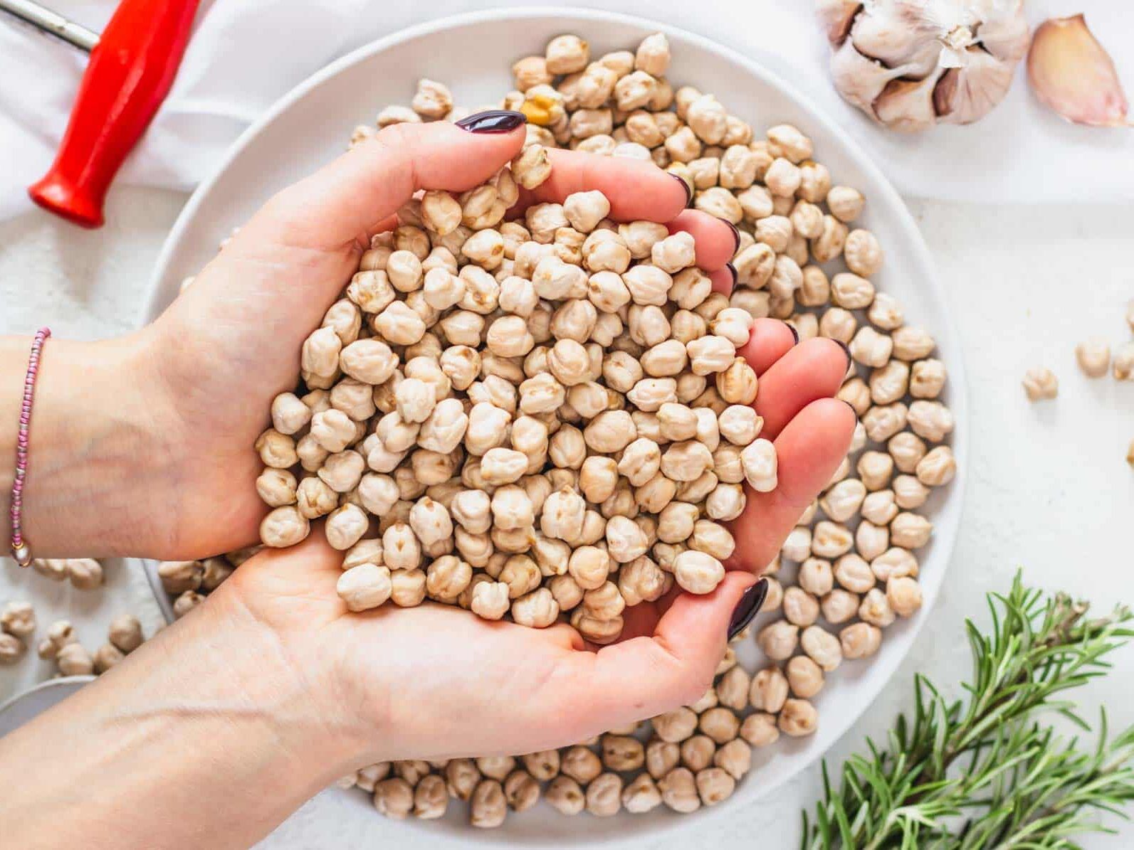 dried chickpeas in the hands of a woman with nail polish