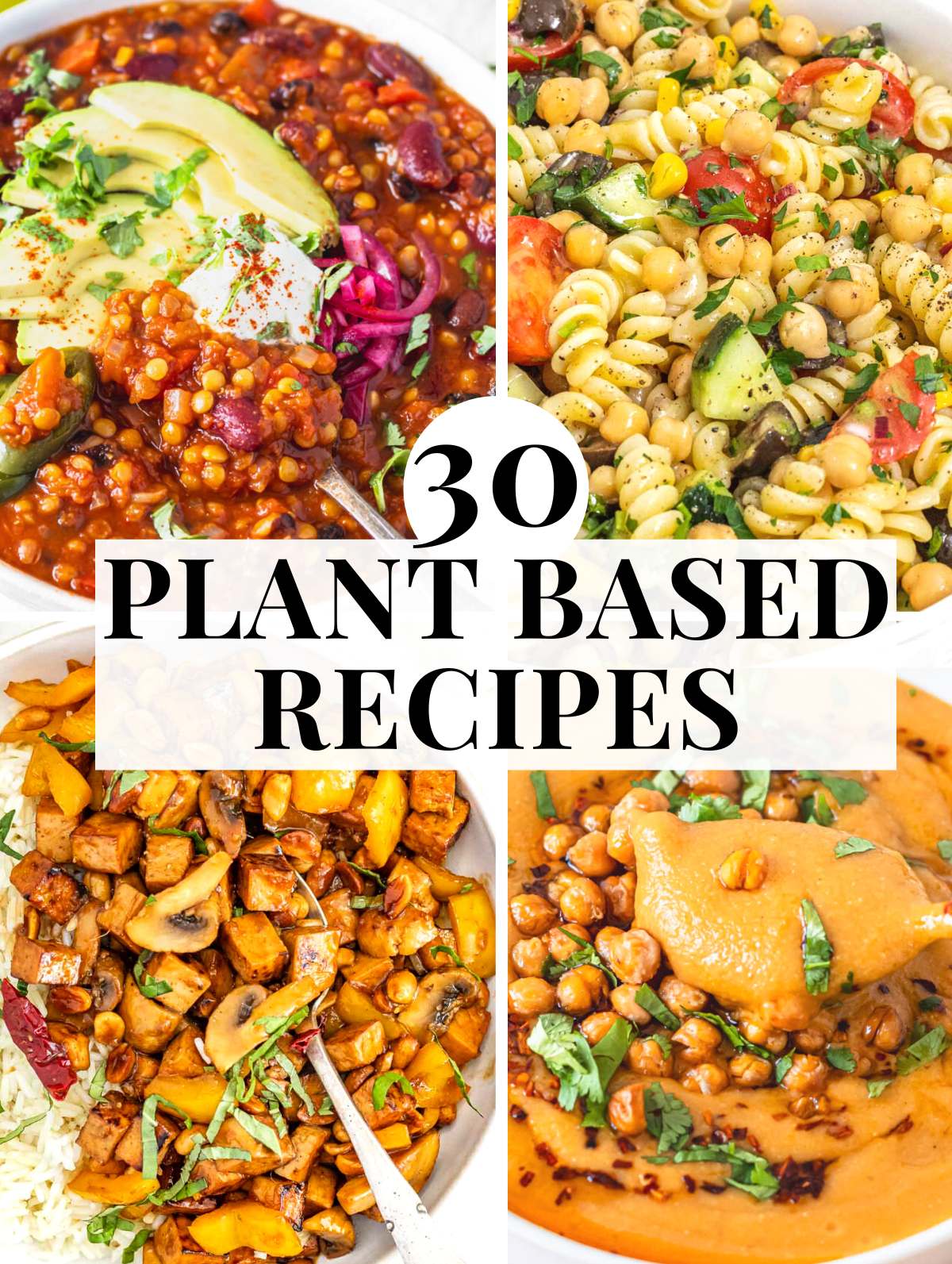 easy plant based recipes with soups, pasta and chili recipes