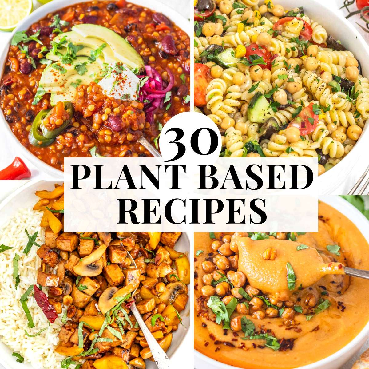 plant based meals