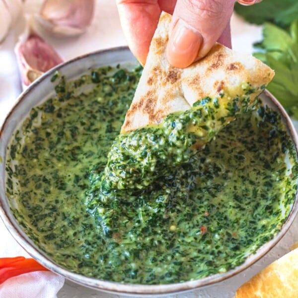 Chermoula sauce with pita chip and a hand