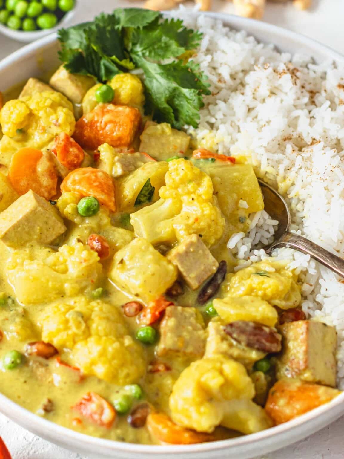 The Best Navratan Korma Simplified Indian Recipe