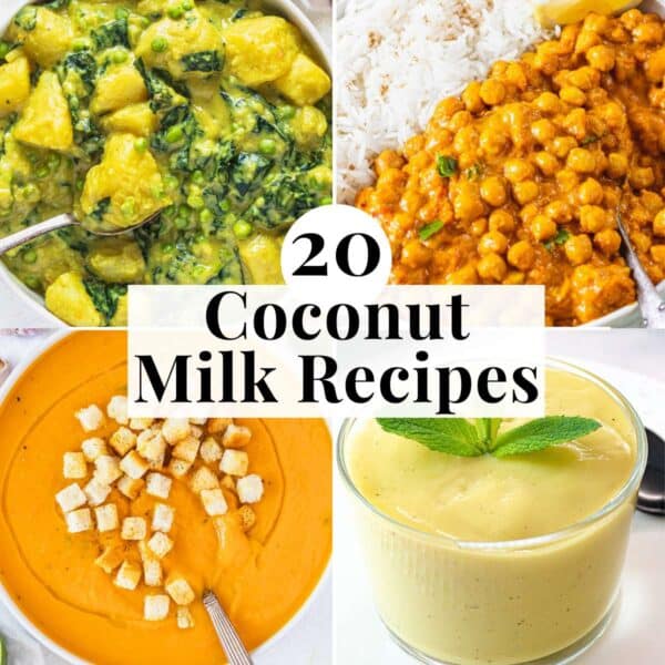 Easy and healthy coconut milk recipes