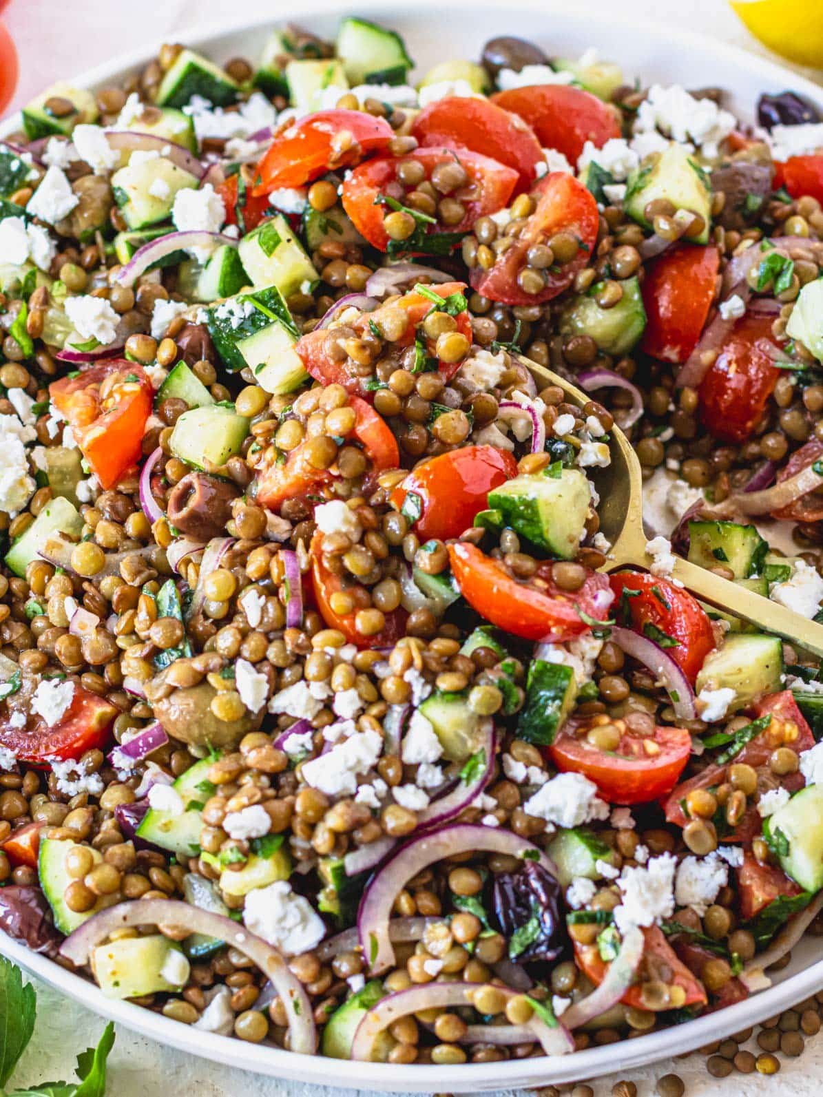 Lentil salad with cherry tomatoes, cucumber and olives