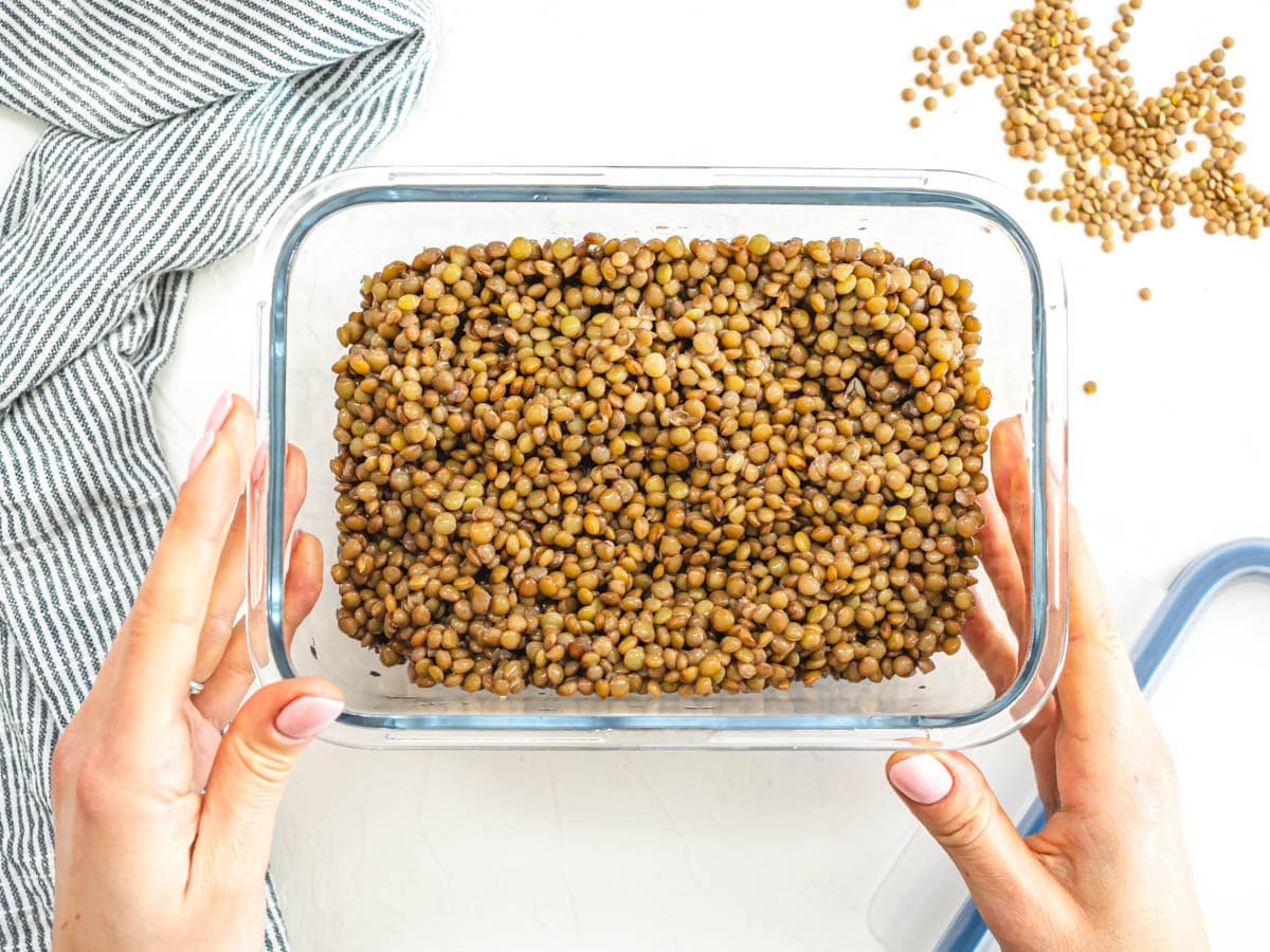 meal prepping lentils in an airtight container
