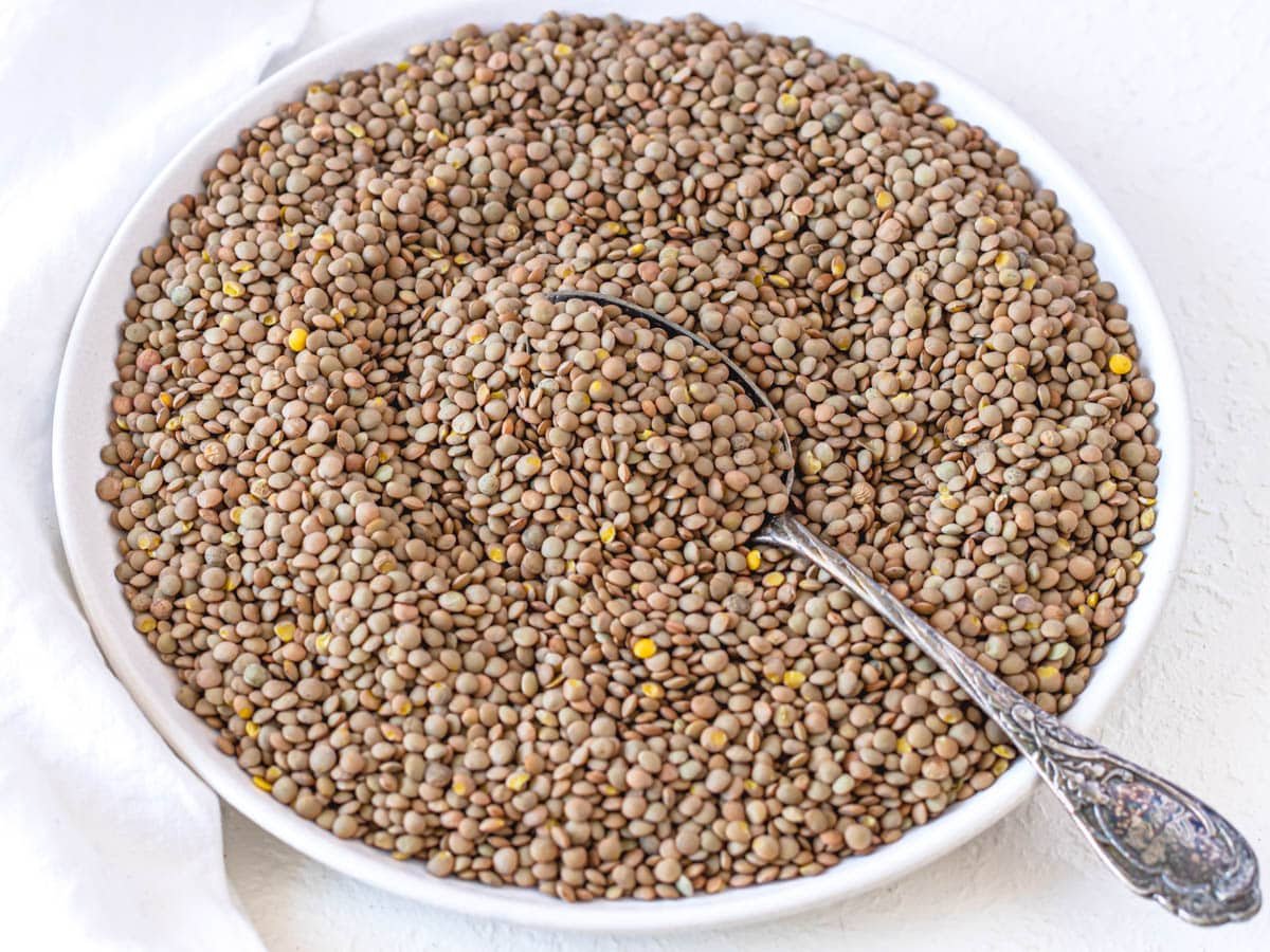 dried lentils on a plate
