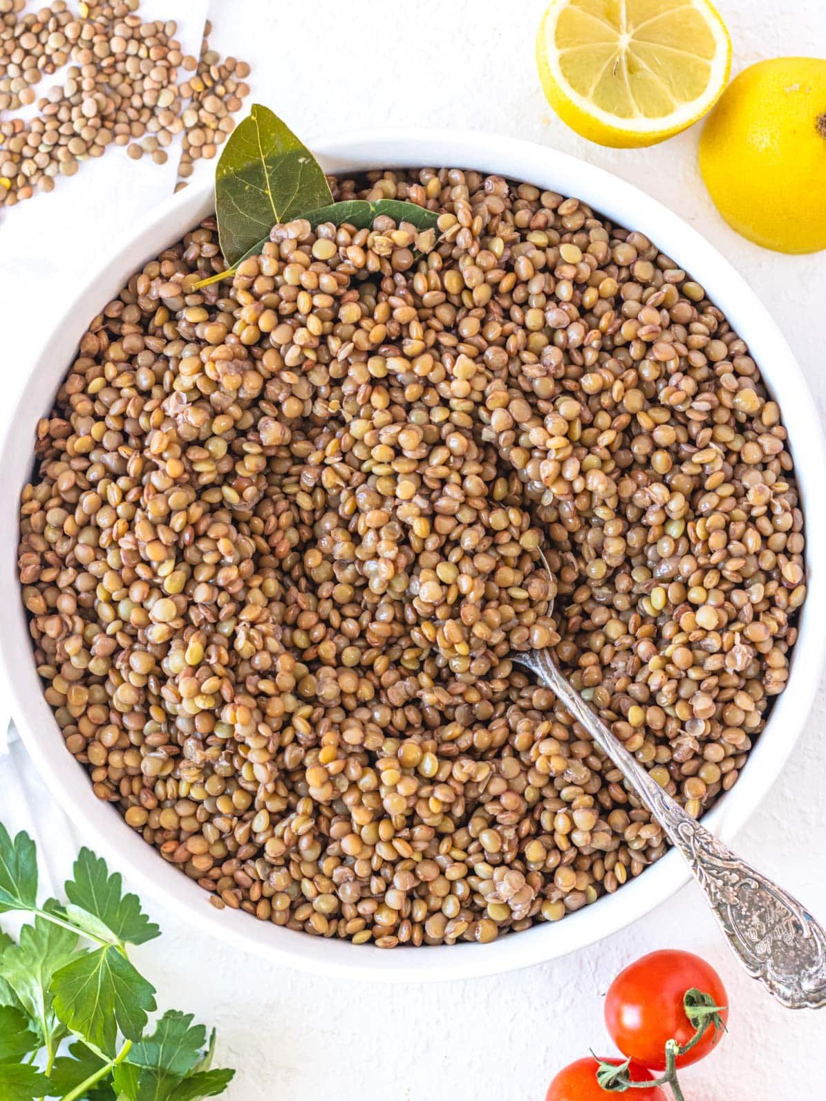 Cooked brown lentils in a white bowl with bay leaves