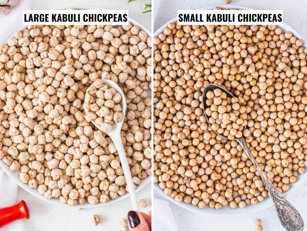 Large and small kabuli chickpeas side by side