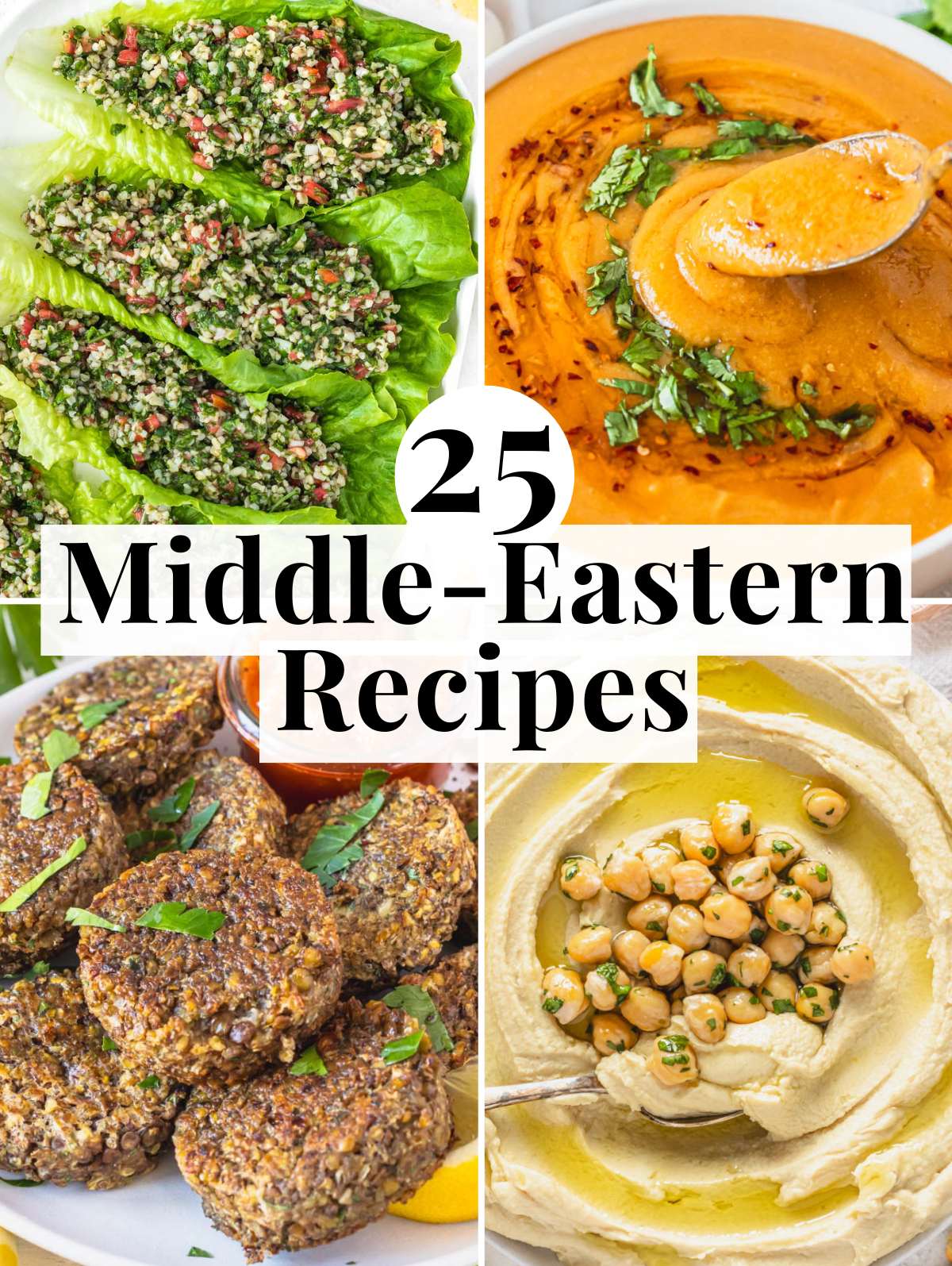Middle Eastern Recipes with spreads, soups, and mains