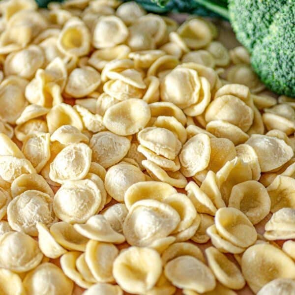 Homemade orecchiette pasta on a worktop