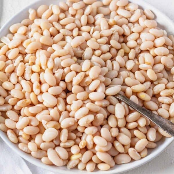 cannellini beans with a silver spoon