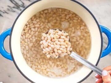 cooked white beans in a blue Dutch oven