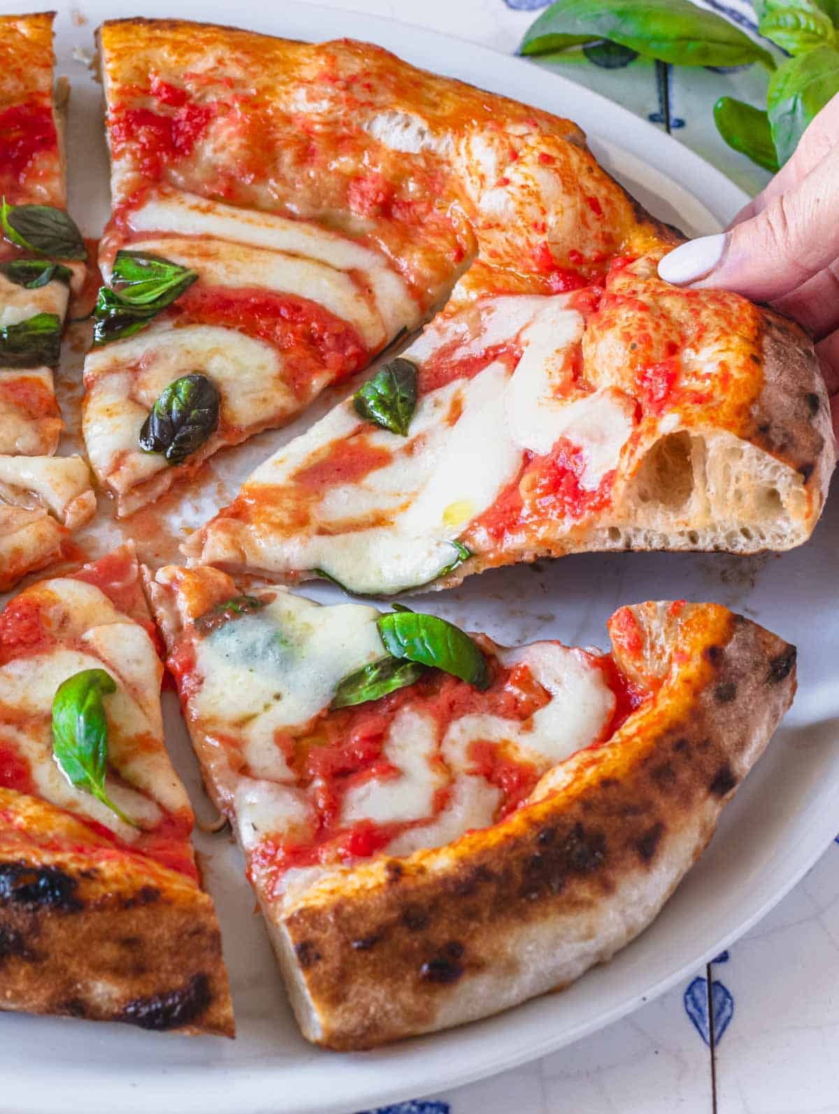 Hand holding a slice of Neapolitan pizza with mozzarella