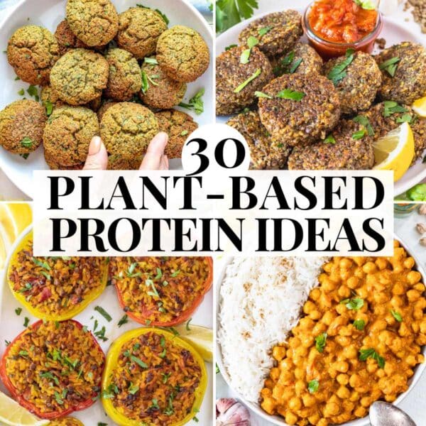 plant based protein ideas with curries, patties, and how to serve them