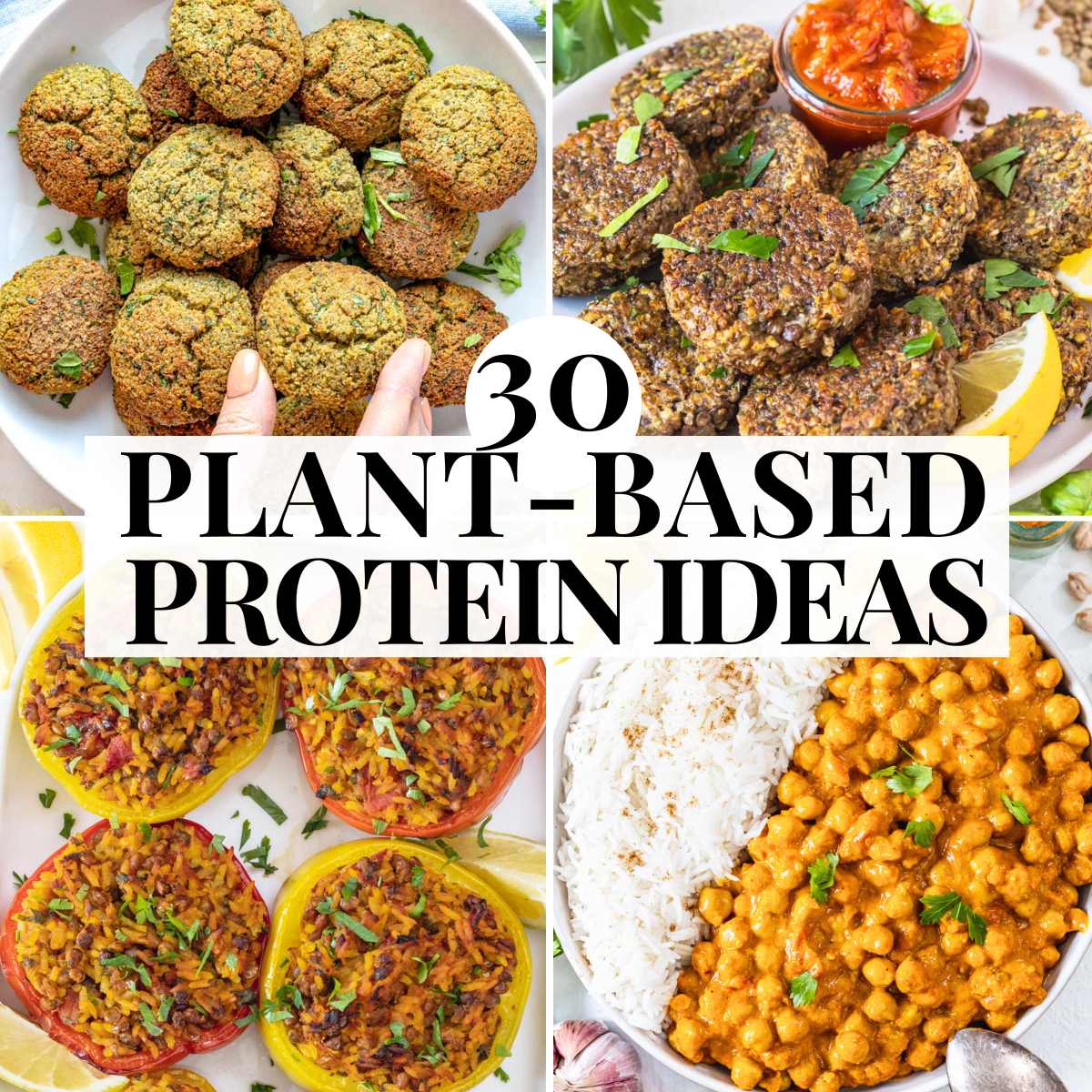 30 Plant Based Protein Ideas